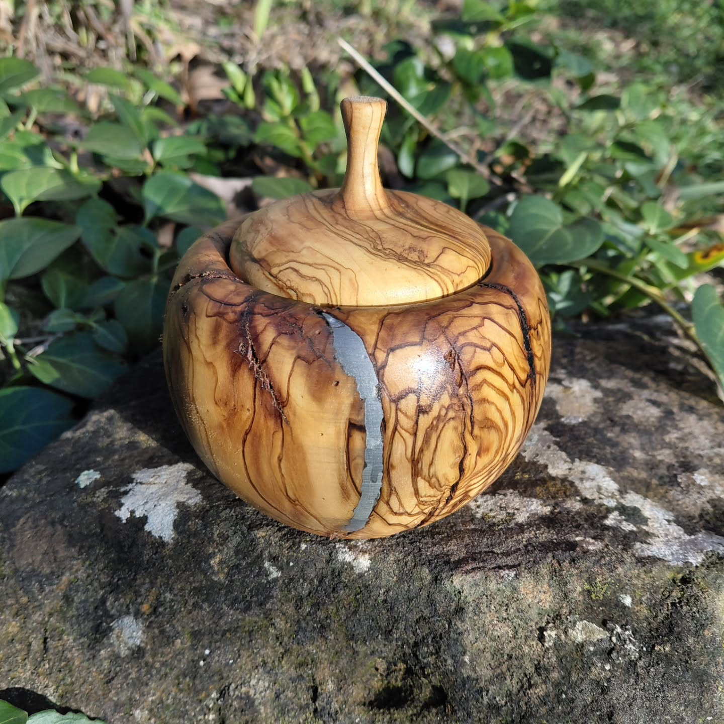 Boîte artisanale en bois d'olivier tournée à la main en Ardèche